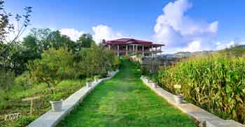 Dyo Organic Resort, Mukteswar